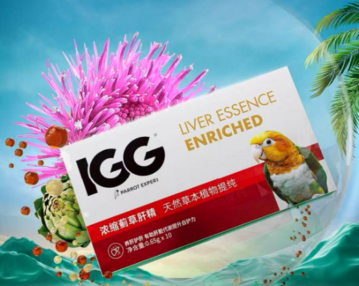 igg蓟草肝精：鹦鹉肝脏的天然守护者(图2)