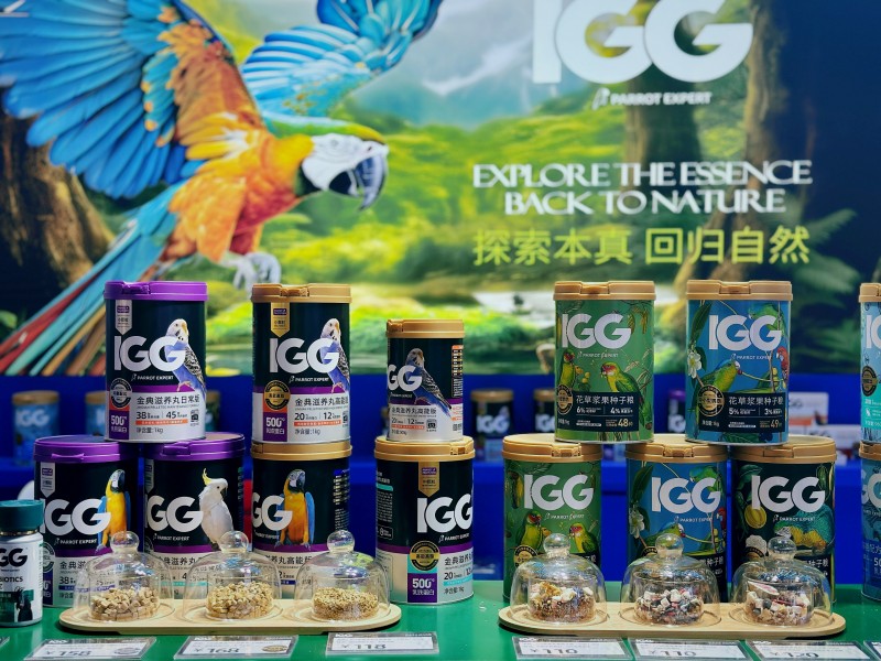 igg鹦鹉闪耀京宠展，引领小宠喂养新风尚(图6)