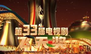 第33届电视剧“飞天奖”获奖