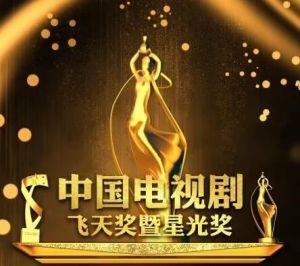 中国电视剧飞天奖