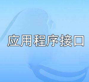 应用程序接口