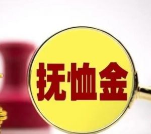 抚恤金