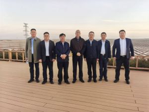 杨华英
