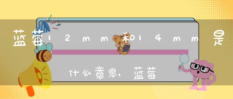 蓝莓12mm和14mm是什么意思,蓝莓12mm和14mm相差多少(图1)