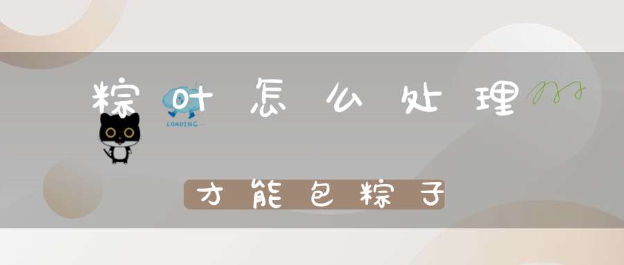 粽叶怎么处理才能包粽子(图1)