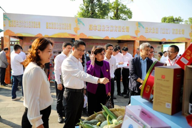 擦亮“国际长寿养生基地”金招牌!广东·遂溪“九九重阳百岁节”,启动!(图4) 擦亮“国际长寿养生基地”金招牌!广东·遂溪“九九重阳百岁节”,启动!(图4)