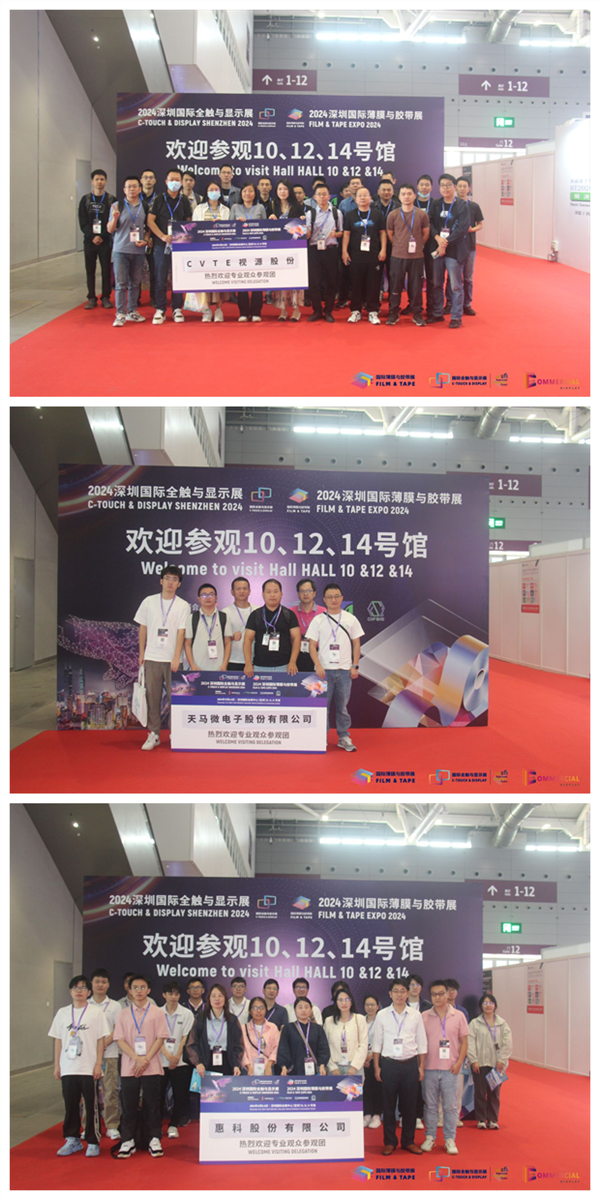 2024年深圳国际全触与显示展览会盛大开幕：集结全球尖端技术，共同描绘显示技术的新篇章(图15)